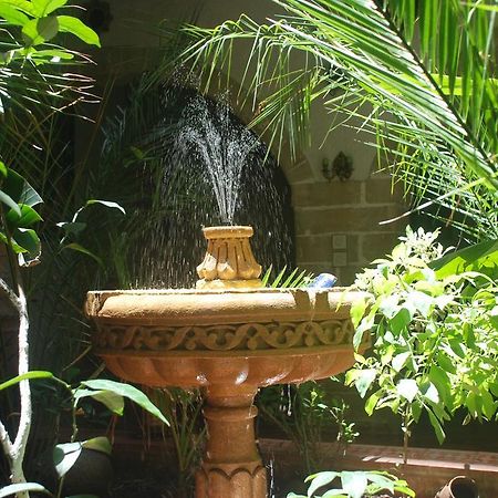 Riad Arambys الصويرة المظهر الخارجي الصورة
