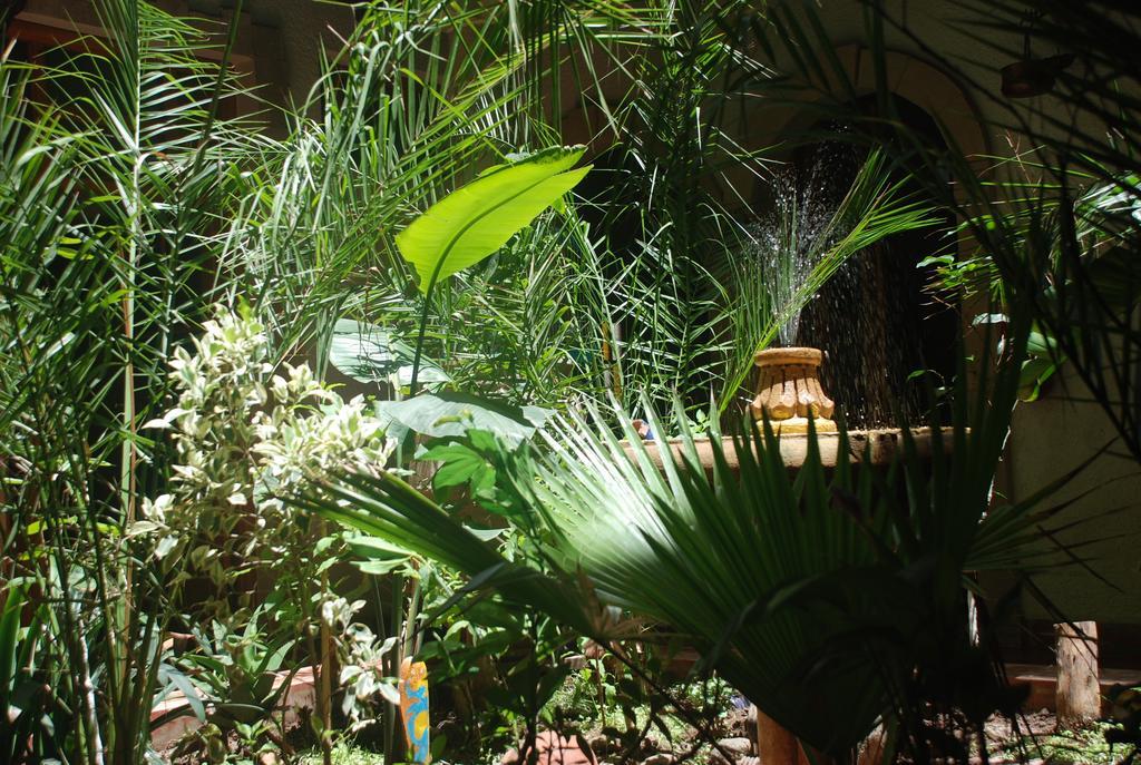 Riad Arambys الصويرة المظهر الخارجي الصورة