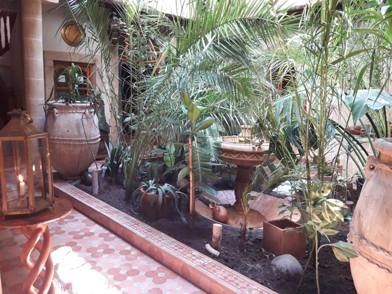 Riad Arambys الصويرة المظهر الخارجي الصورة
